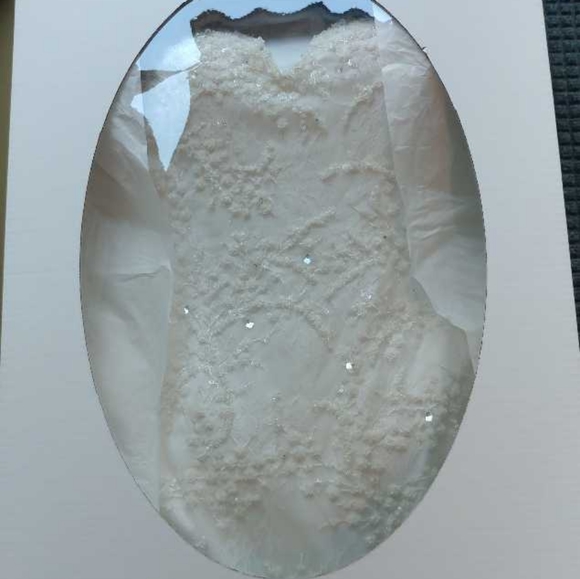 Tony Ward Nina Wedding Dress - Picture 13 of 16